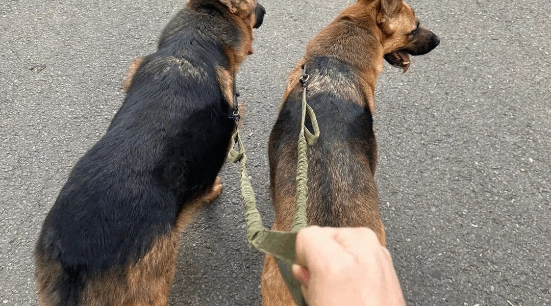 Cumți petreci Duminica?