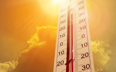 Franța în alertă: Caniculă extremă, activat planul Orsec