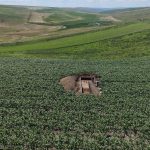 Cucuteni și WWII: Arheologii, uimiți de o descoperire spectaculoasă