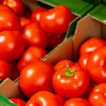 Lidl susține 100% roșii locale: Record de achiziții de la noi