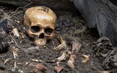 Adulți și copii, îngropați fără legătură de rudenie