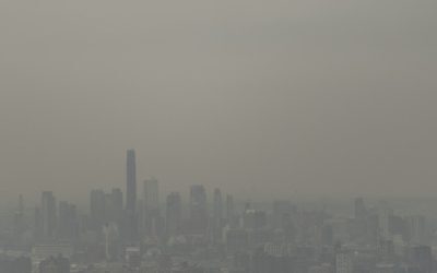 NEW YORK ÎN ALERTĂ: FINALĂ MONDIALĂ, OAMENII STAU ÎN CASĂ