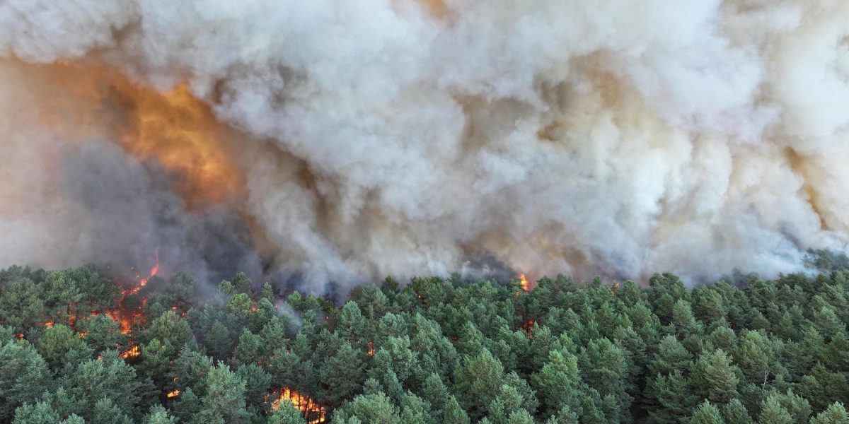 Foc Misterios la Fontainebleau: Suspectată Incendiere Voluntară