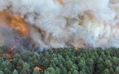 Foc Misterios la Fontainebleau: Suspectată Incendiere Voluntară