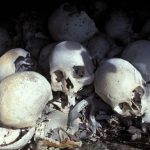 Canibalismul, cât de periculos e? Studiul dezvăluie adevărul uluitor