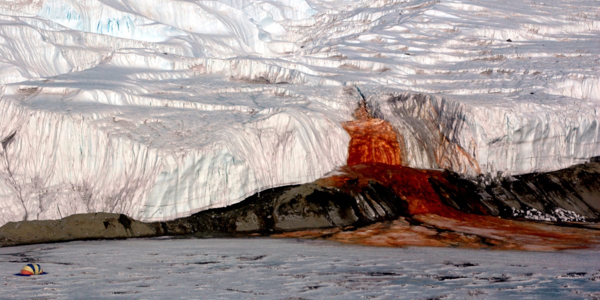 Cascada de Sânge din Antarctica, dezlegată de savanți