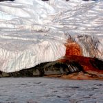 Cascada de Sânge din Antarctica, dezlegată de savanți