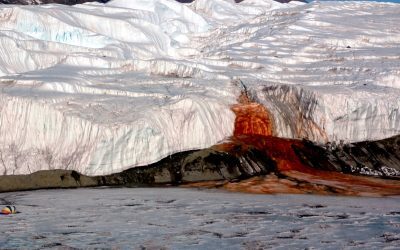 Cascada de Sânge din Antarctica, dezlegată de savanți