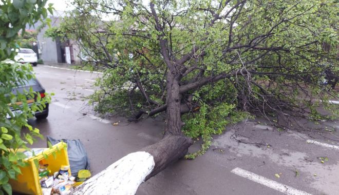 Furtună în București: Copaci doborâți, străzi inundate, ISU intervine