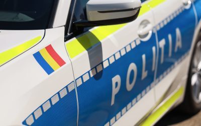 Tablouri de 30.000 euro furate din Italia, prinse în România