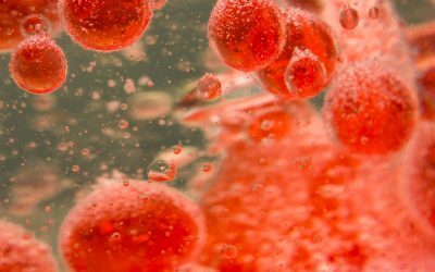 Sânge sănătos: Ce vitamine îți hrănesc viața