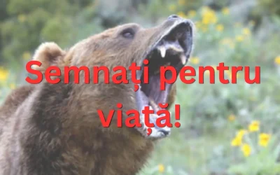 URȘI PE CĂI: România SUFOCATĂ DE PREZENȚA LOR