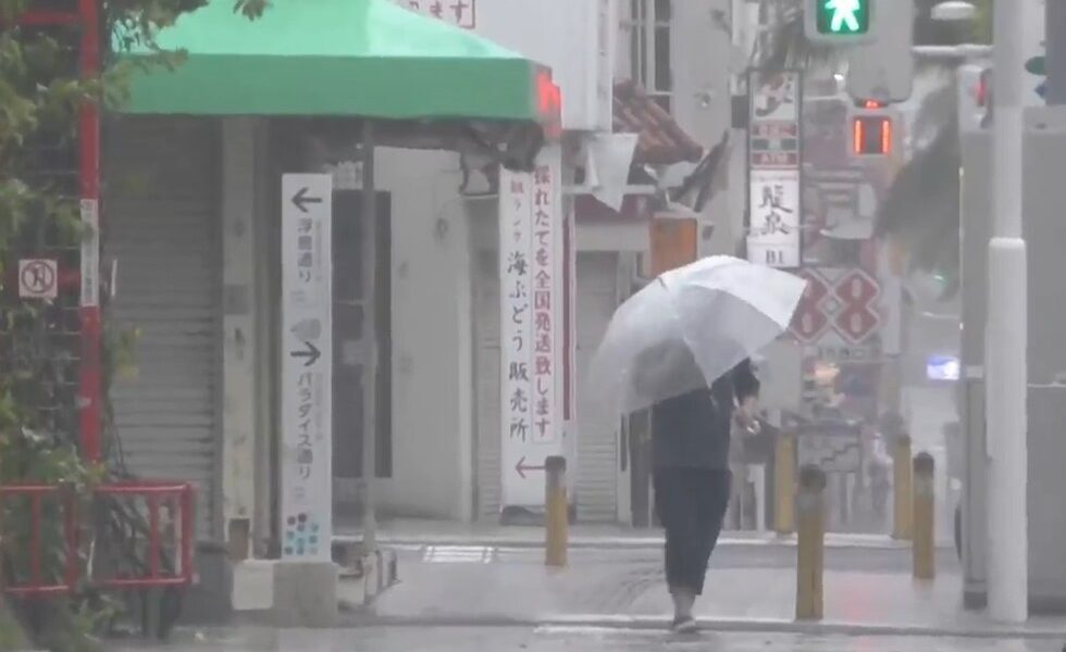 Typhoon Dolphin hits parts of southern Japan