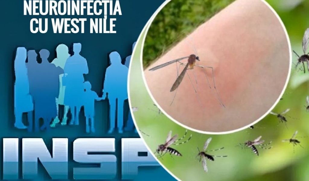 West Nile: Românii, sub asaltul virusului sever