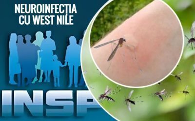 West Nile: Românii, sub asaltul virusului sever
