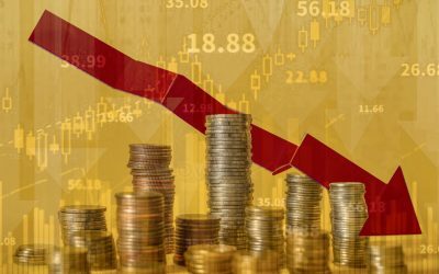 Consilier Prezidențial: Recesiunea bate la ușa economiei românești