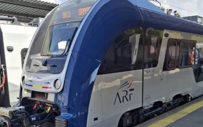 Trenul PESA a intrat în cursă. Miruță: „Erau blocate între buruieni”