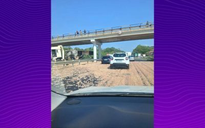 Haos pe A1: TIR cu pui, dezastru lângă București
