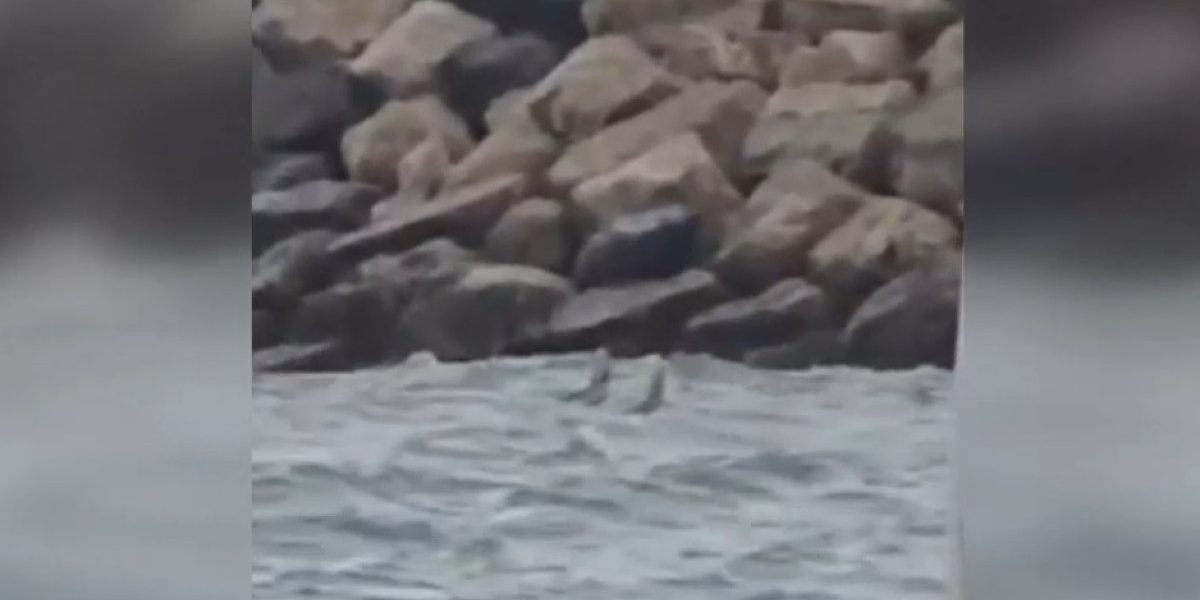 Fragment dronă în mare la Costinești, zonă evacuată