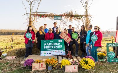 Investiții: Cum schimbă o companie destine în comunități