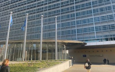 S&D vs PPE: România, ținta standardelor duble la 770 mil. Euro