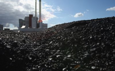 Pîrvulescu (FNME): Fără reactoarele 3 și 4, criza energetică persistă
