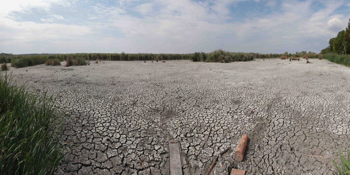 Seceta persistă: Ploile de vară nu ajung unde e mai mare nevoie