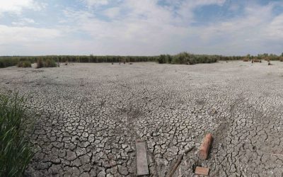 Seceta persistă: Ploile de vară nu ajung unde e mai mare nevoie