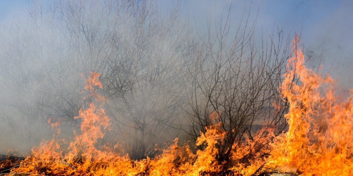 Caraș-Severin, în flăcări: 4 incendii, sute de salvatori și elicoptere