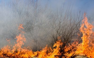 Caraș-Severin, în flăcări: 4 incendii, sute de salvatori și elicoptere
