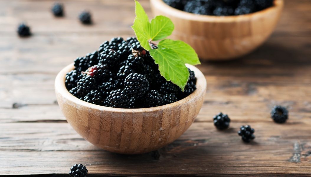 Coacăze negre: Secretul arderii grăsimilor descoperit