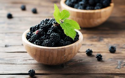 Coacăze negre: Secretul arderii grăsimilor descoperit