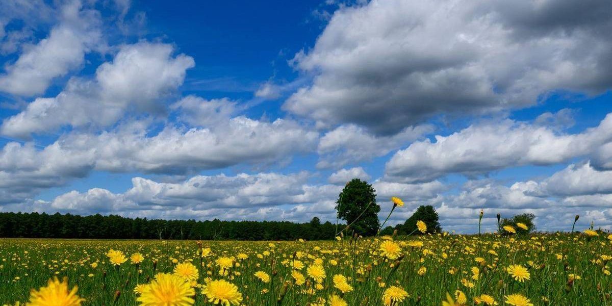 Val de căldură weekend: 36 de grade în România