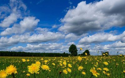 Val de căldură weekend: 36 de grade în România