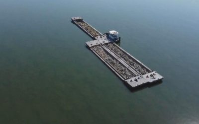 Dunărea scade Rapid. Urgență la Cernavodă, barjele se scufundă