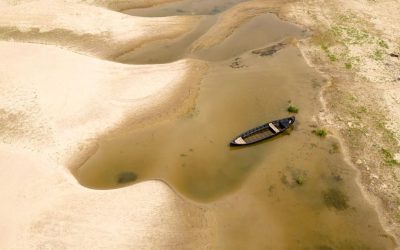 El Nino agravează criza Dunării. Seceta usucă Europa