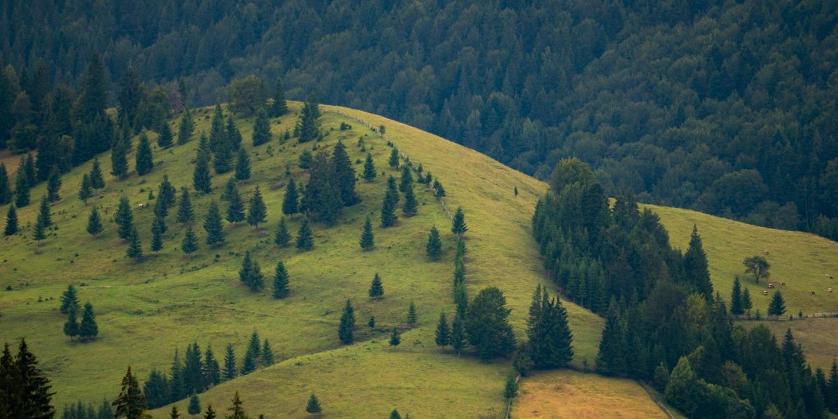 Legea Biodiversității: 972 mil. € vs. Sectorul bio din România