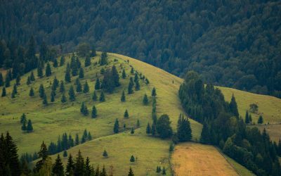 Legea Biodiversității: 972 mil. € vs. Sectorul bio din România