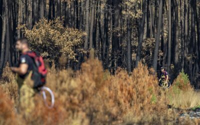 UE cere investiții masive în natură, după pagube uriașe