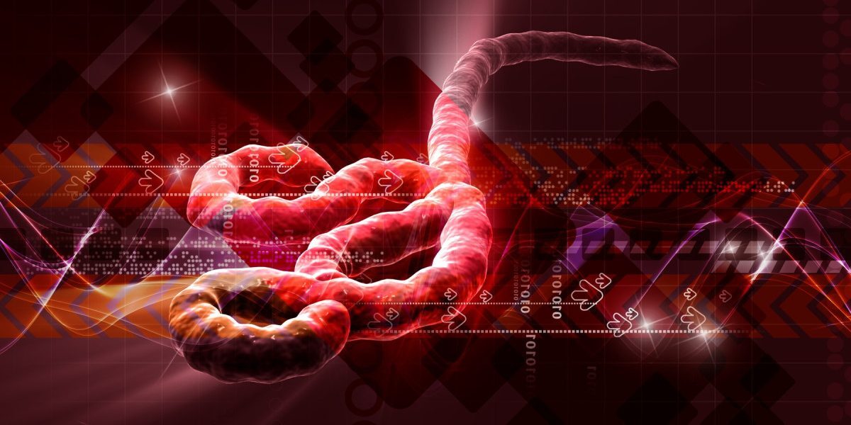 Virusul dispare? Unde se ascunde după epidemii?