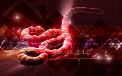Virusul dispare? Unde se ascunde după epidemii?