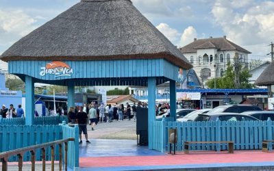 Primarul din Jurilovca, urgență la festivalul inexistent