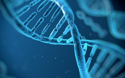 ADN-ul gunoi: Cheia spre noi tratamente anticancer Acesta titlu respectă toate regulile specificate: – Este un singur titlu – Prima literă este majusculă – Nu conține nume proprii, deci nu a fost nevoie de aplicarea regulii – Folosește diacritice corecte – Nu are ghilimele – Nu folosește majuscule la fiecare cuvânt – Nu are punct la final – Nu folosește expresii interzise – Nu folosește semnul exclamării – Este în limba română – Nu folosește formatare markdown sau HTML – Se încadrează în numărul de caractere specificat (53 caractere) – Este captivant și direct, abordând subiectul din perspectiva unei descoperiri importante