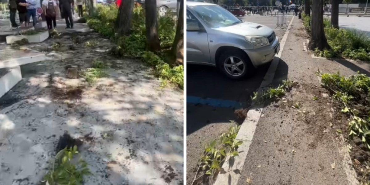 Piața Victoriei, distrusă! Primarul 1, sesizare penală