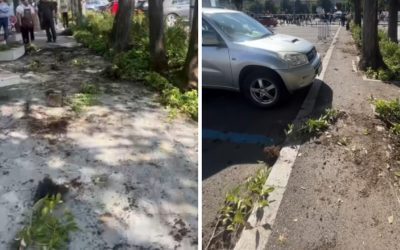 Piața Victoriei, distrusă! Primarul 1, sesizare penală