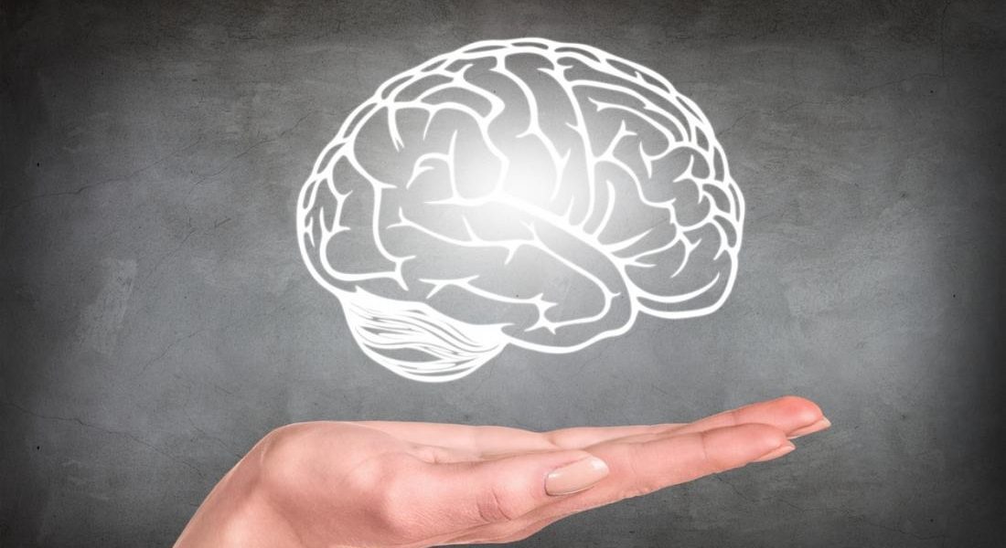 Oasele, aliatul creierului: Experimentul cu tibia