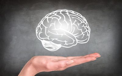 Oasele, aliatul creierului: Experimentul cu tibia