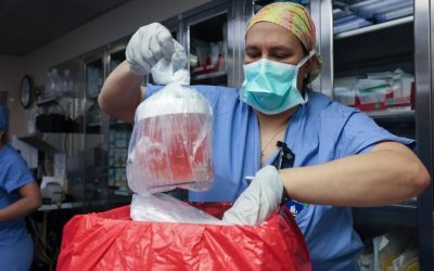 Rinichi de porc, 9 luni fără dializă: O premieră medicală ULUITOARE