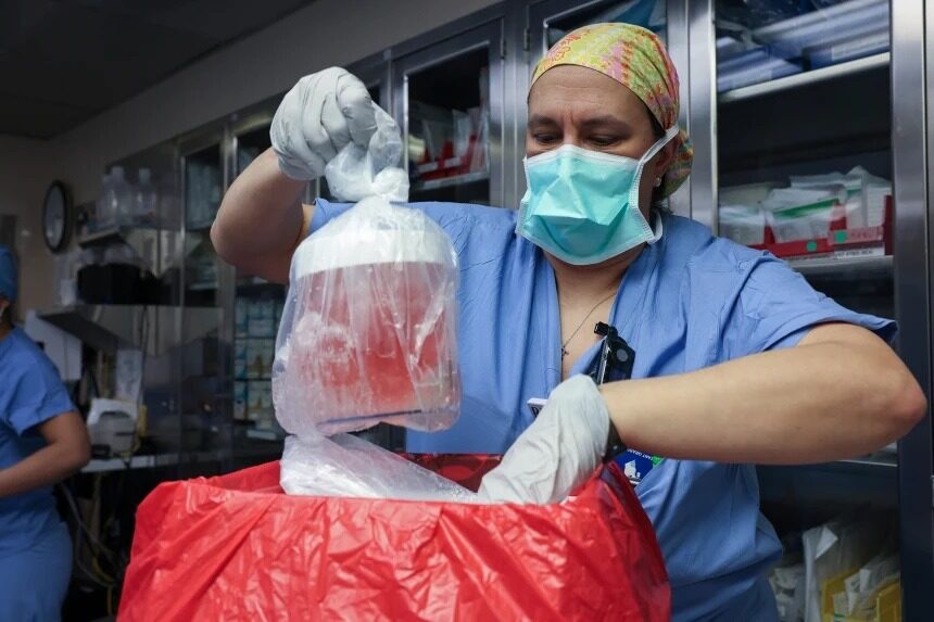 Rinichi de porc, 9 luni fără dializă: O premieră medicală ULUITOARE