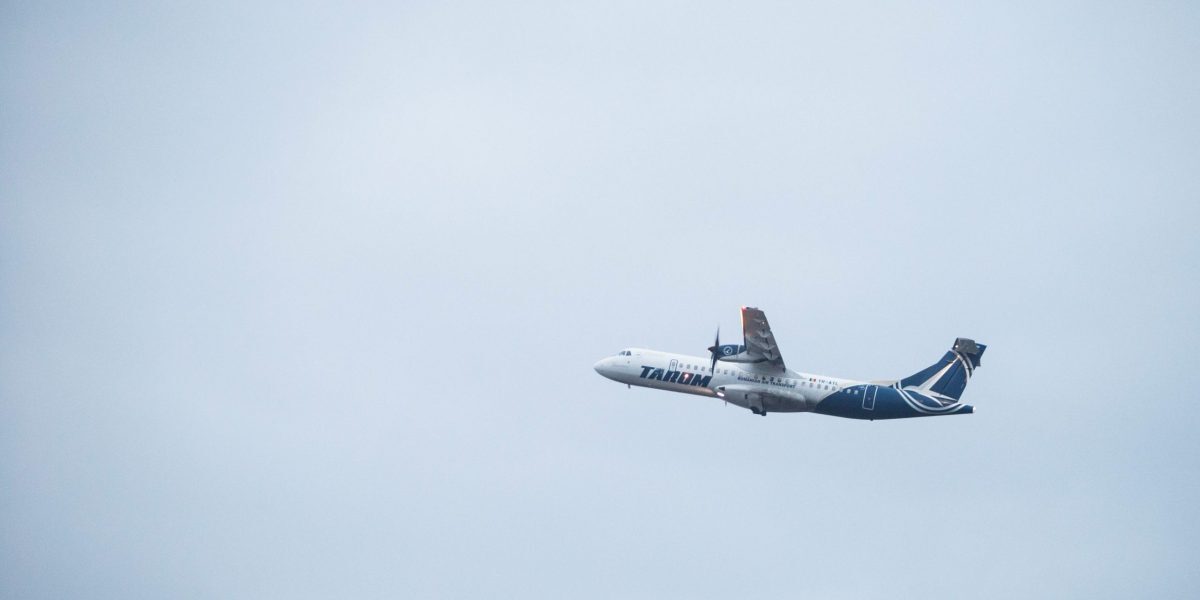 Aterizare de urgență Otopeni după coliziunea cu păsări